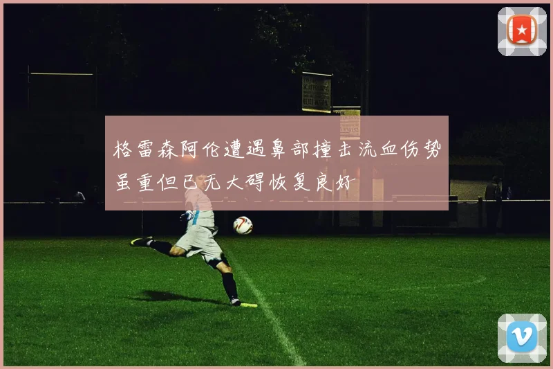 格雷森阿伦遭遇鼻部撞击流血伤势虽重但已无大碍恢复良好