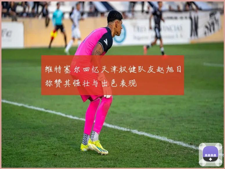 维特塞尔回忆天津权健队友赵旭日称赞其强壮与出色表现